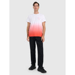 Men's regular printed T-shirt 4F 4FRAW25TTSHM3226-62S póló