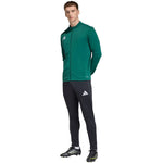 Men's adidas Entrada 26 Track sweatshirt green KE9835 zöld melegítő