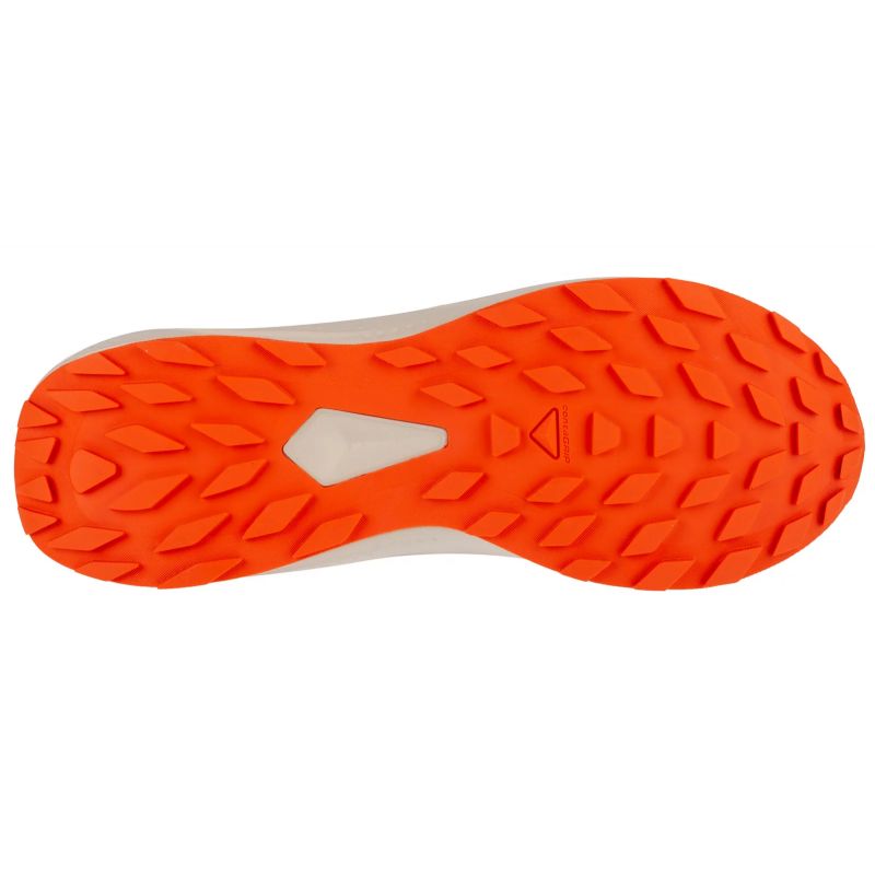Salomon Alphaglide M L47801100 Running Shoes