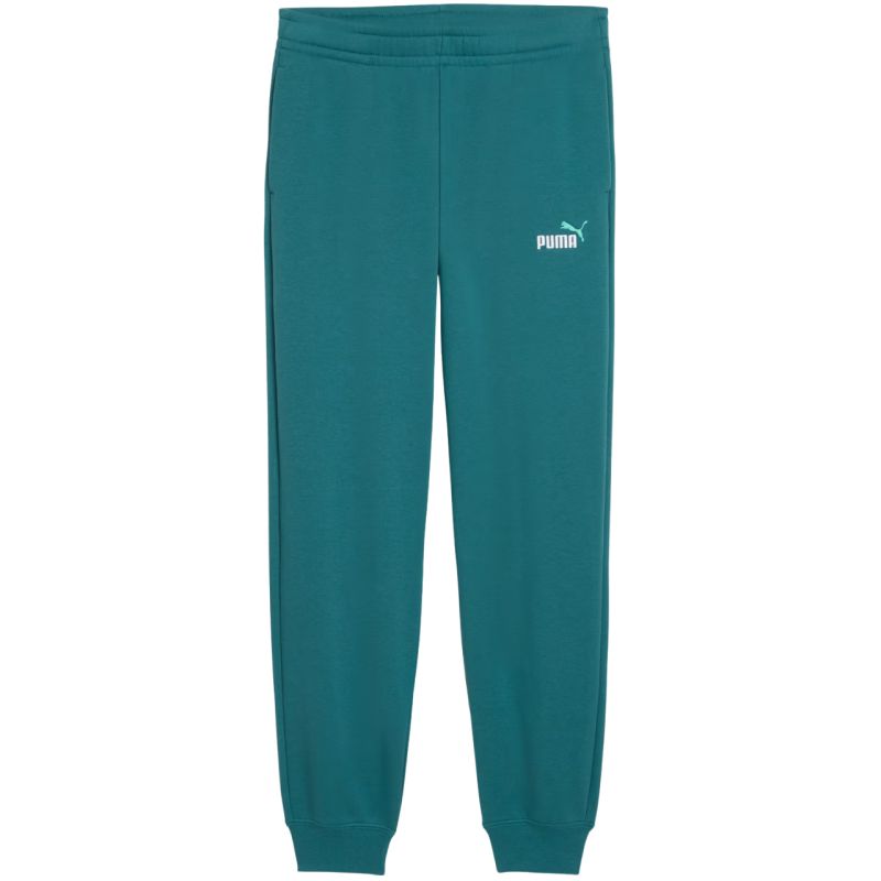 Puma ESS 2 Color No. 1 Logo Kids Pants Green 693892