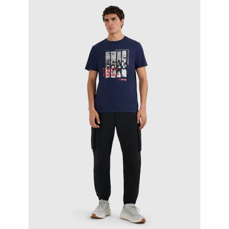 Men's regular printed T-shirt 4F 4FRAW25TTSHM3364-31S