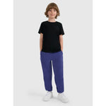 Boy's regular plain T-shirt 4F 4FJRMM00TTSHM3254-20S póló