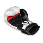 DBX Bushido 10oz Boxing Gloves - Japan - Valor Series kesztyű
