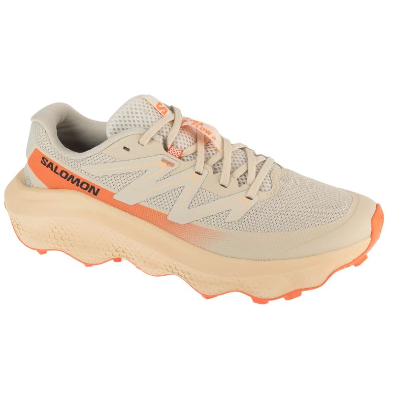 Salomon Ultra Flow 2 W L47883100 Beige 36 2/3 General