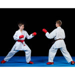 DBX Bushido WKF karate gloves - mitts | kesztyű