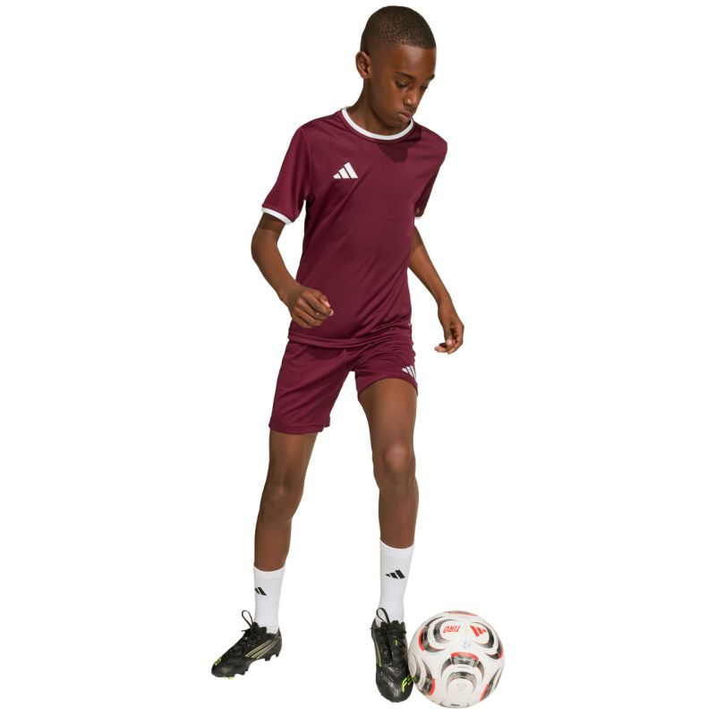 adidas Entrada 26 Jersey kids' T-shirt JZ2530 bordó póló