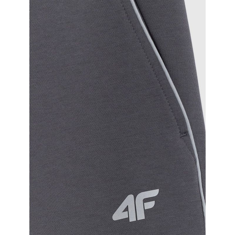 Men's jogger sweatpants 4F 4FRAW25TTROM1696-22S melegítőnadrág