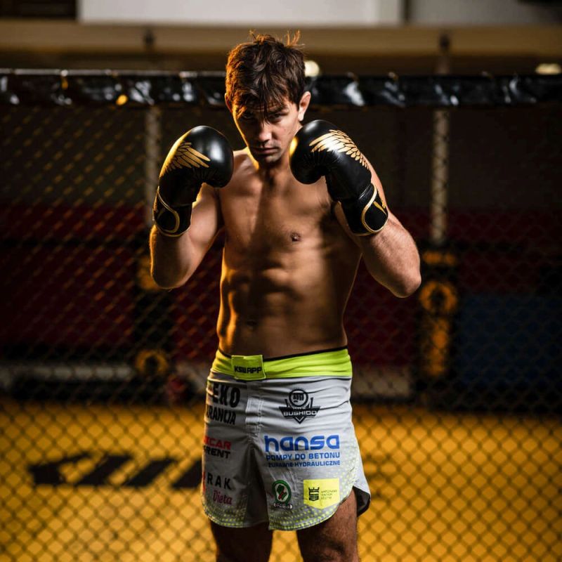 DBX Bushido 8oz Boxing Gloves - Hawk - Origin Series kesztyű