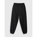 Women's jogger sweatpants 4F 4FRMM00TTROF1842-20S nadrág