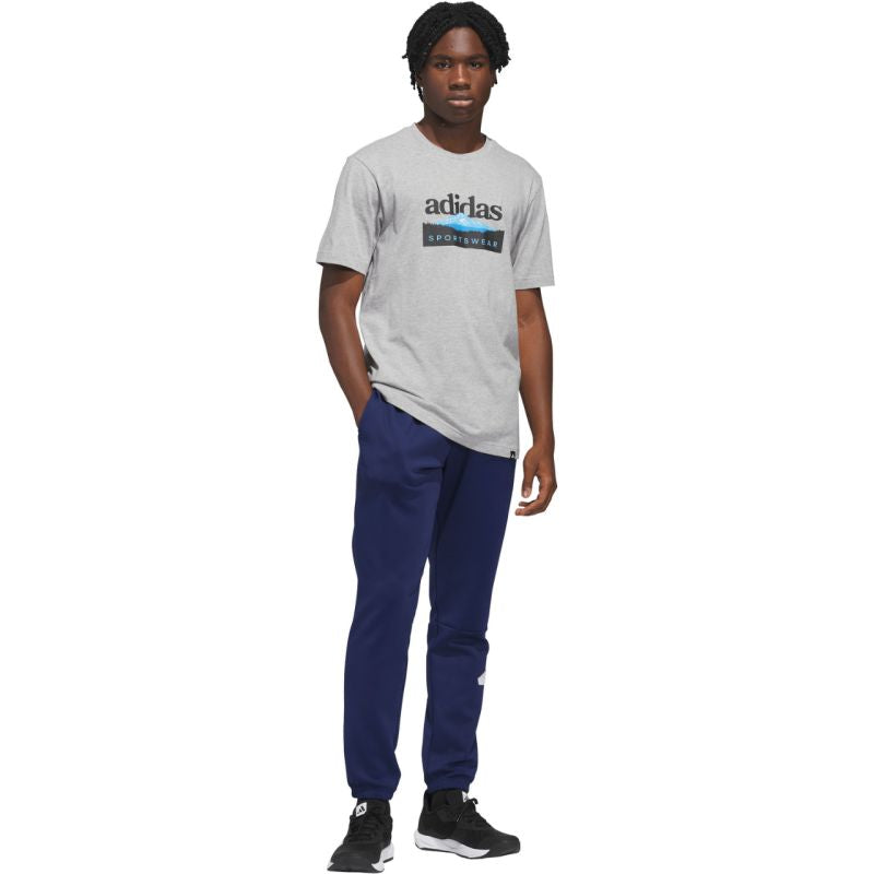 Adidas Sportsman Mountain Graphic Men's T-Shirt Light szürke póló