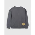 4F JUNIOR sweatshirt 4FJRAW25TSWSM2448-22S póló