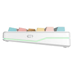 gasket V2 Orange Soda Kailh Meteorite Ice Cream switch RGB keyboard AULA