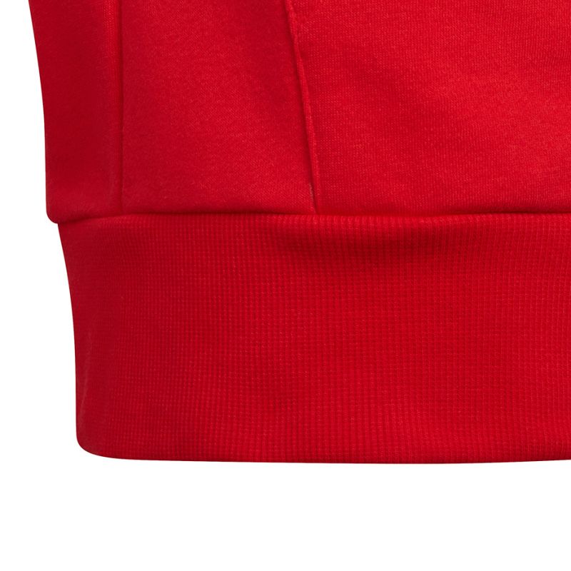 Adidas Colorblock Fleece Hoodie Jr HC5657 sweatshirt Pulóver