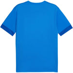 Puma teamGOAL Matchday Jersey Póló