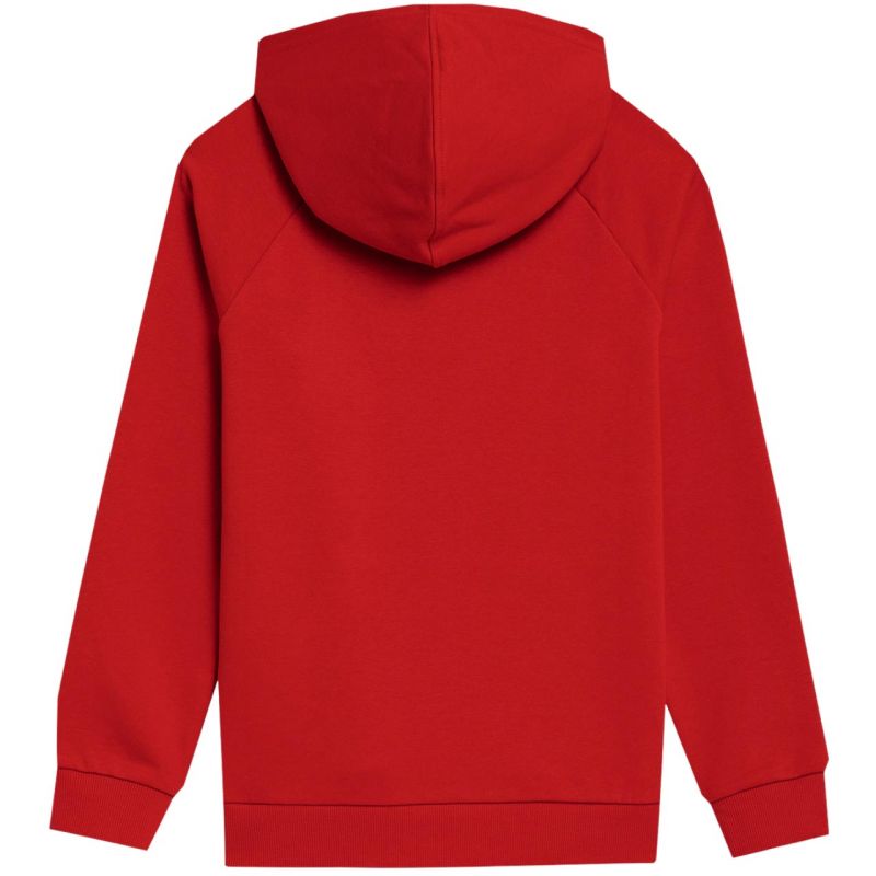 Sweatshirt 4f Jr. 4fjss23tswsm220 62s