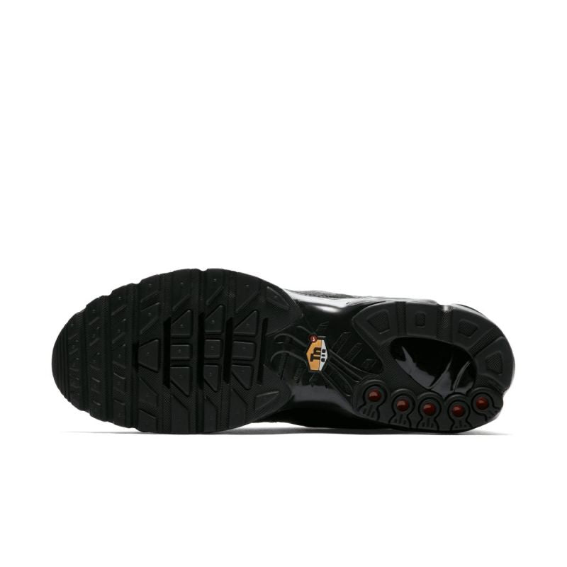 Nike Air Max Plus M AJ2029-001 shoes