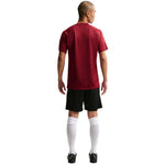 Nike Dri-Fit Park VIII Men's T-Shirt HV8173 bordó póló
