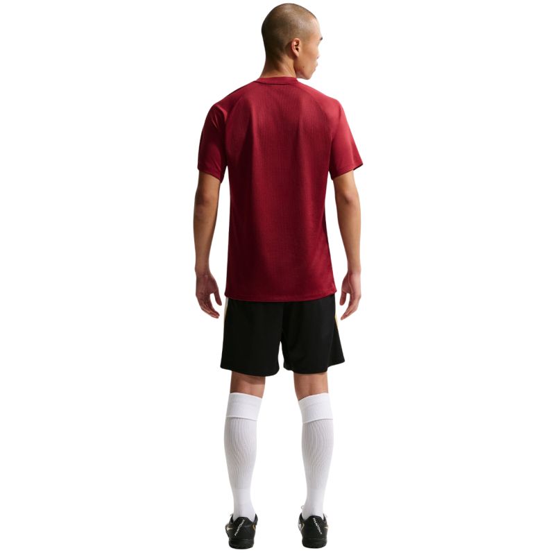 Nike Dri-Fit Park VIII Men's T-Shirt HV8173 bordó póló