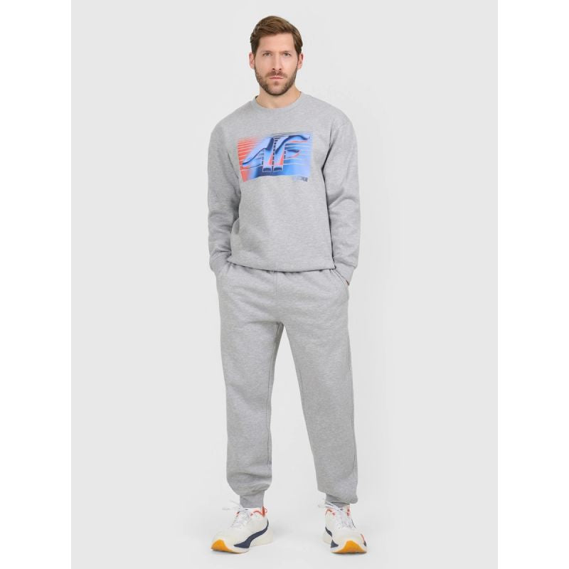 Men's jogger sweatpants 4F 4FRAW25TTROM1832-27M melegítőnadrág