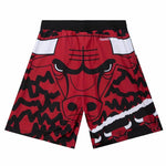 Mitchell & Ness NBA Chicago Bulls Jumbotron 2.0 Sublimated short