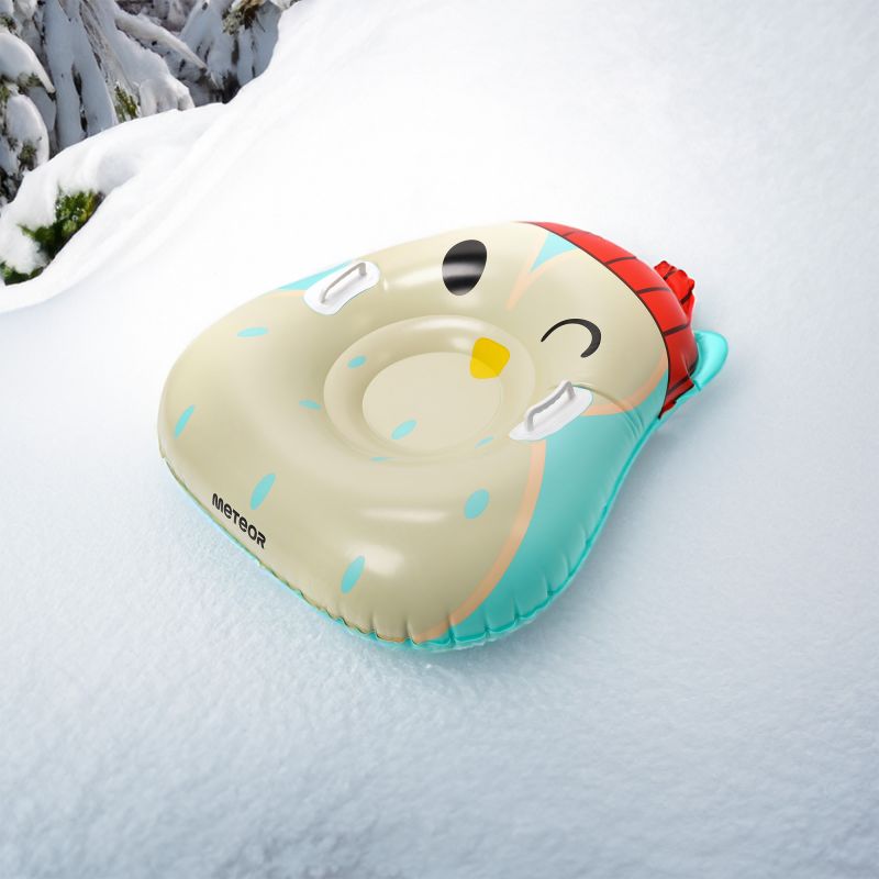 Meteor Owl Snow Slide