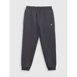 Men's jogger sweatpants 4F 4FRAW25TTROM1696-22S melegítőnadrág