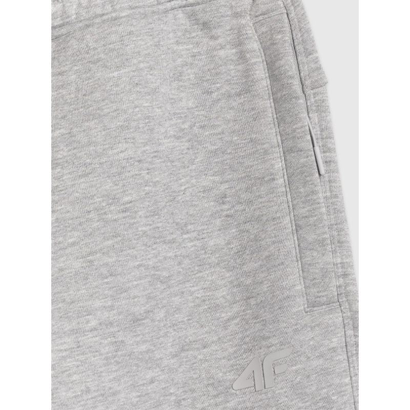 Men's jogger sweatpants 4F 4FRAW25TTROM1832-27M melegítőnadrág