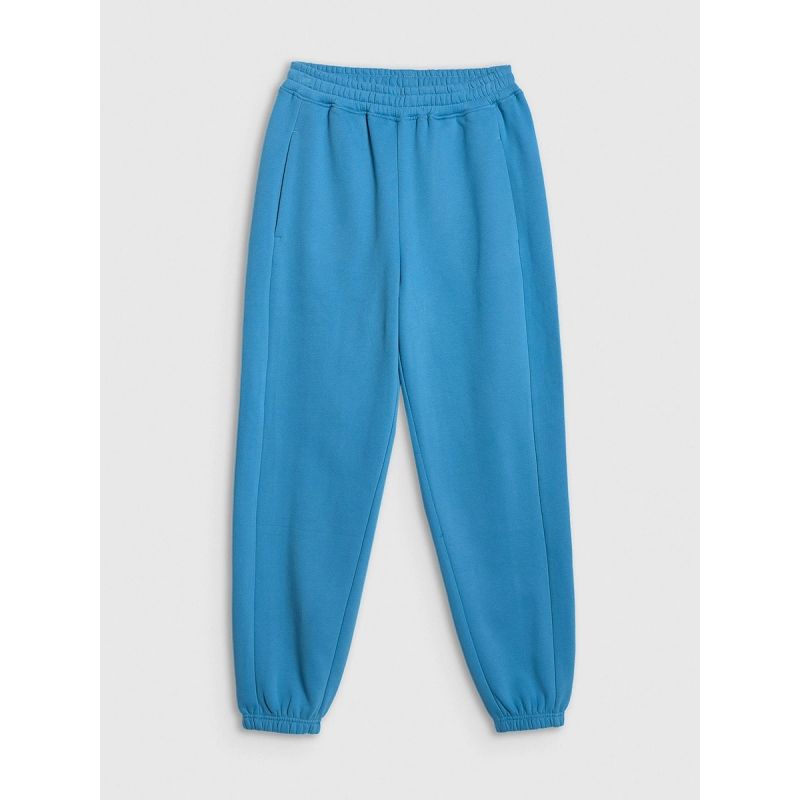 Women's jogger sweatpants 4F 4FRSS26TTROF1724-32S nadrág