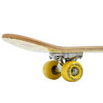 Smj UT-2406 Robot Skateboard General