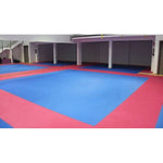 DBX Bushido Exercise mat with Safety Certificate - Puzzle 1x1m - Tatami 26mm mats, puzzle, training equipment