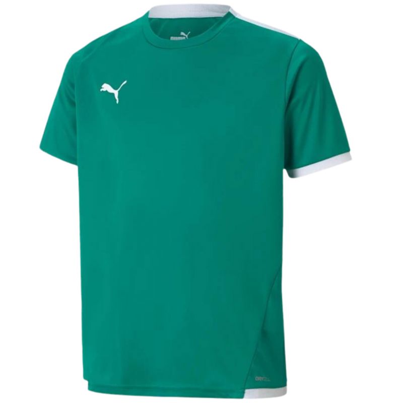 Puma teamLIGA Jersey Jr. 704925 05 Ruházat