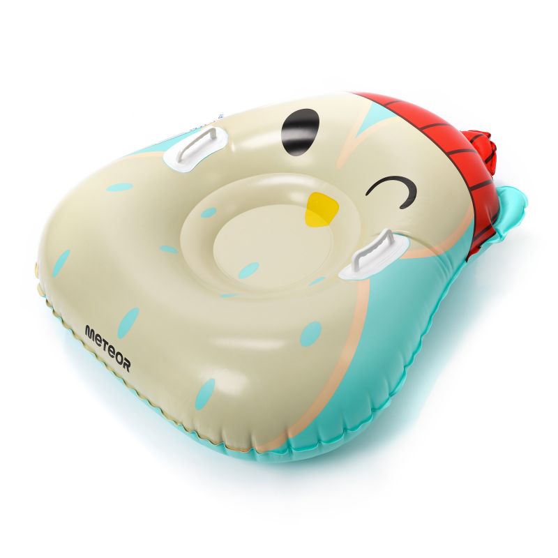 Meteor Owl Snow Slide