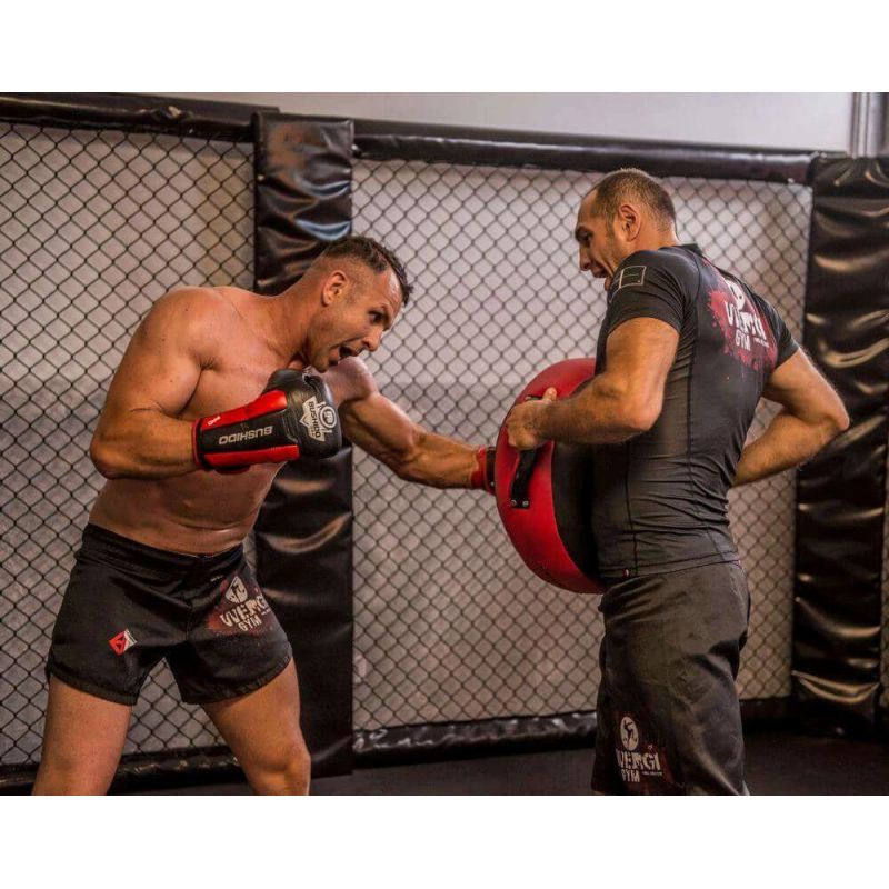 DBX Bushido Round training target | 45 x training equipment, shields