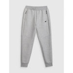 Men's jogger sweatpants 4F 4FRMM00TTROM1623-27M 2xl nadrág