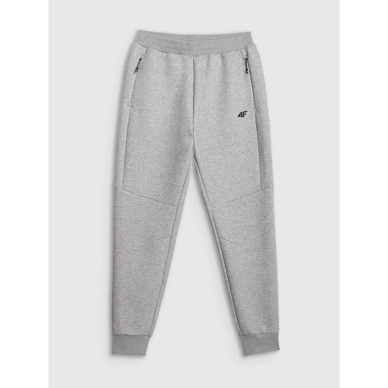 Men's jogger sweatpants 4F 4FRMM00TTROM1623-27M 2xl nadrág