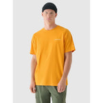Men's oversized printed T-shirt 4F 4FRAW24TTSHM2578-70S póló
