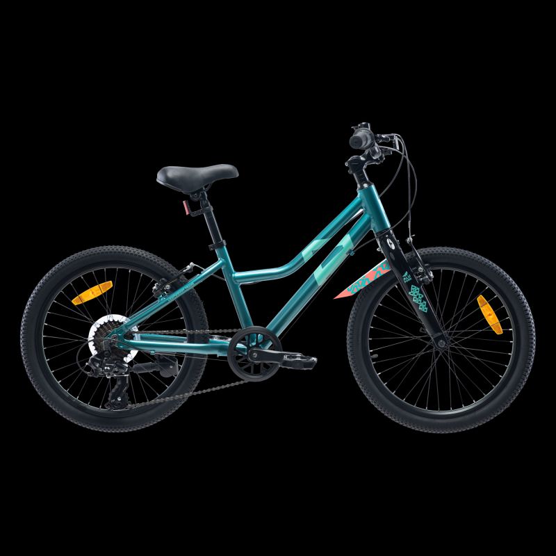 Radvik Children's Bike Viking 20" children's bicycles