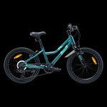Radvik Children's Bike Viking 20" children's bicycles